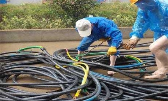 2024年电路租赁行业产业链的供需布局及发展趋势