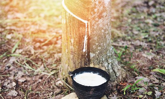 天然橡胶市场行情分析 近期国内天然橡胶行情宽幅震荡
