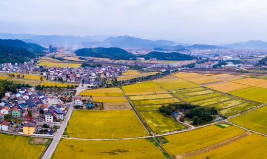 美丽乡村建设市场投资潜力巨大且发展前景广阔