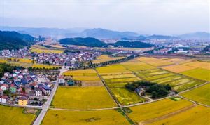 美丽乡村建设市场投资潜力巨大且发展前景广阔