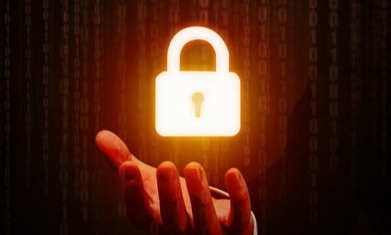 信源加密行业未来发展趋势及面临挑战分析2024