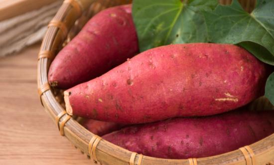 红薯行业未来发展趋势预测：产品创新将成为重要的发展方向