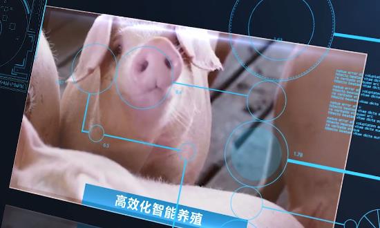 2024智慧养殖产业现状、发展趋势、市场机遇