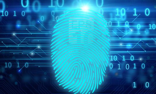 指纹识别系统行业盈利模式及发展前景分析2024