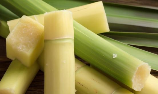 2024年中国蔗糖行业发展现状及趋势预测研究