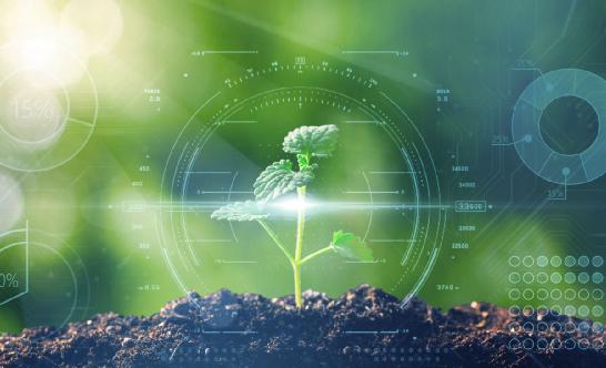 农业生物技术行业深度分析2024