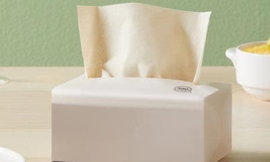 2024年中国纸巾行业的产业链上下游结构及重点企业情况