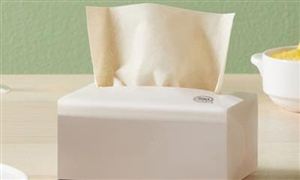 2024年中国纸巾行业的产业链上下游结构及重点企业情况