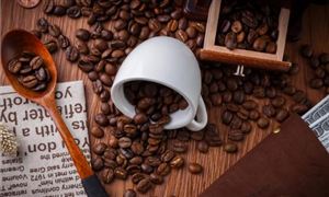 2024中国速溶咖啡行业市场格局与发展前景预测