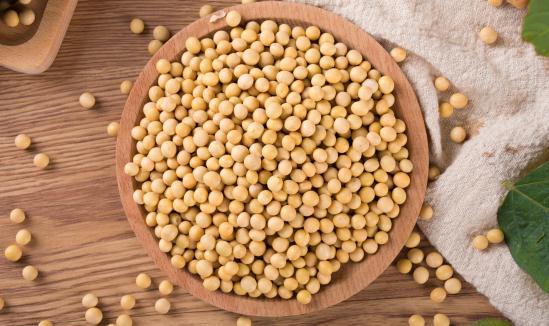 2024中国大豆加工行业市场发展与前景预测