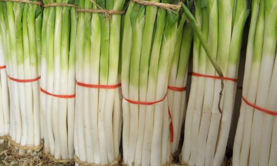 大葱种植利润如何？大葱行业市场投资前景分析