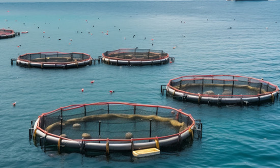 深海养殖网箱行业市场需求及深度分析2024