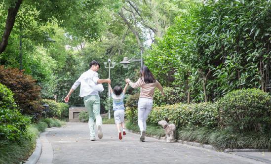 2024年生长激素行业市场现状及竞争分析 一季度金赛药业生长激素产品收入保持增长