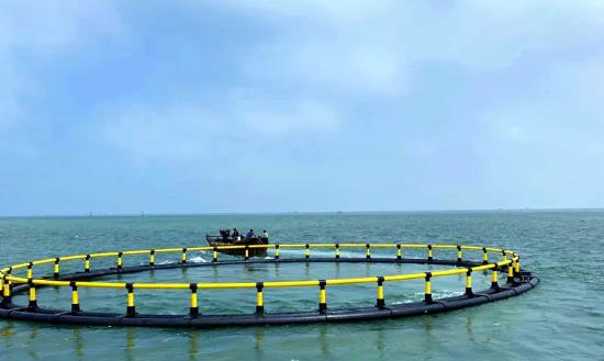 2024深海养殖网箱建设现状与市场投资环境：大型化、集约化、规模化成重要方向