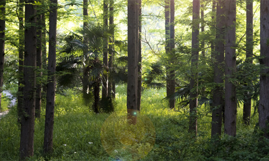 环保监测设备行业市场需求及未来发展战略2024