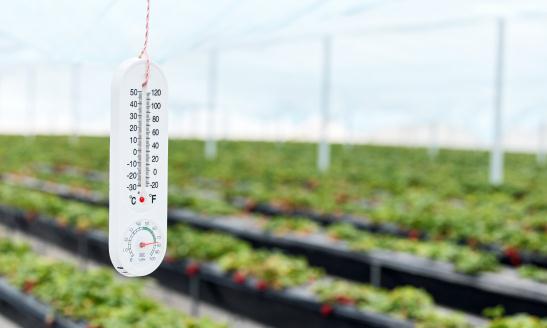 2024中国温湿度记录仪行业市场环境与投资趋势分析