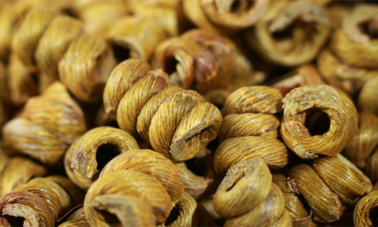 石斛行业市场深度分析2024