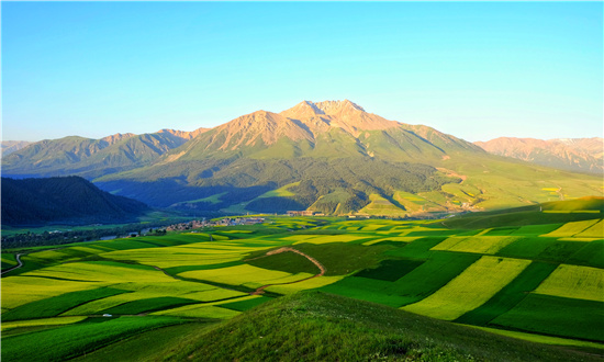 2024年乡村旅游行业市场发展现状及未来发展前景趋势分析