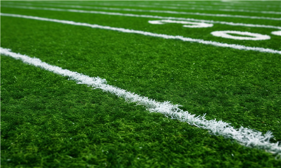 2024年人造草坪行业市场发展现状及未来发展前景趋势分析