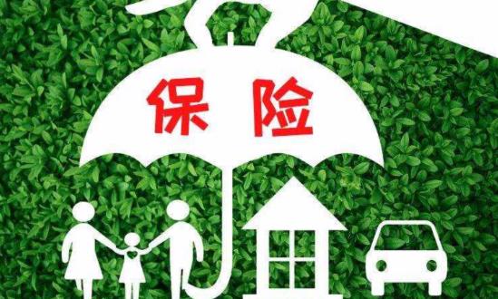 旅游保险行业发展现状分析、市场需求与机遇