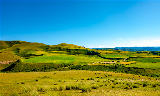 2024年畜牧行业市场发展现状及未来发展前景趋势分析