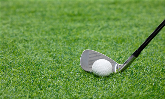 2024年高尔夫行业市场发展现状及未来发展前景趋势分析