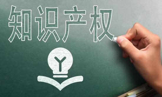 2024中国知识产权服务行业市场分析及发展前景预测