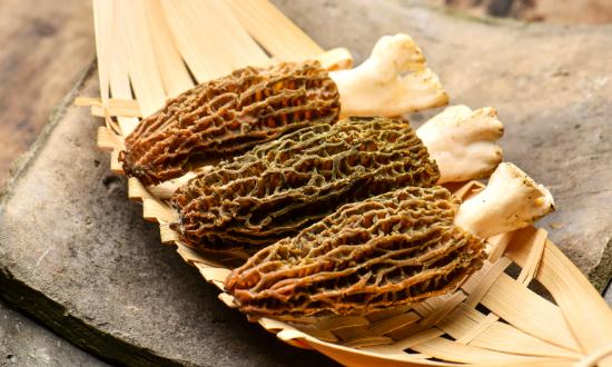 2024羊肚菌种植行业发展现状及进出口市场分析