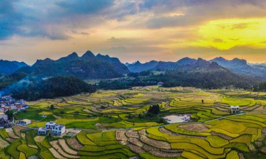 2024年中国农村电商行业发展现状及未来前景趋势分析