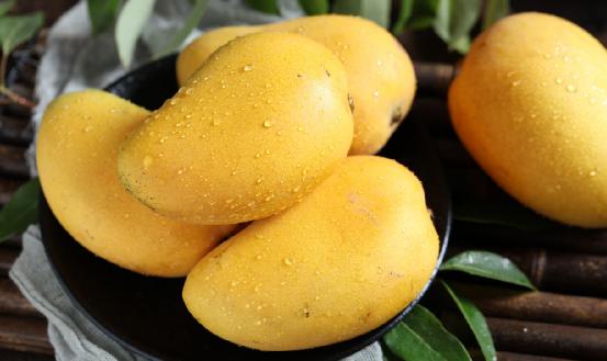 中国芒果种植情况及市场深度调研