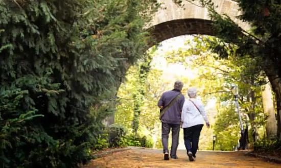 旅居养老行业深度分析及发展前景趋势