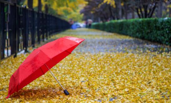 2024雨伞产业现状及未来发展趋势分析