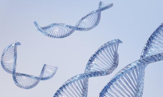 2024基因治疗行业现状及市场规模、投机机会分析