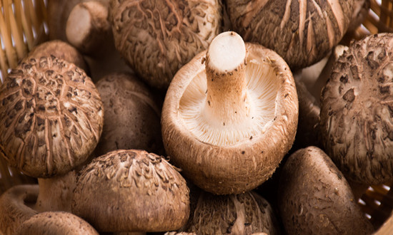 食用菌行业市场预测 2024我国食用菌年产量已达4000多万吨