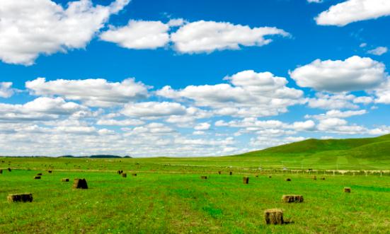 我国优质牧草种质资源完成首次太空舱外暴露实验 优质牧草行业未来前景研究