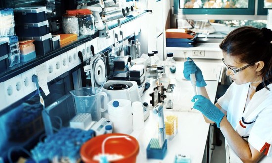 2024年糖工程行业的市场发展现状及发展趋势分析