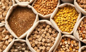 2024年猪饲料行业发展前景及投资风险预测 已允许符合要求的法国猪源性蛋白饲料进口