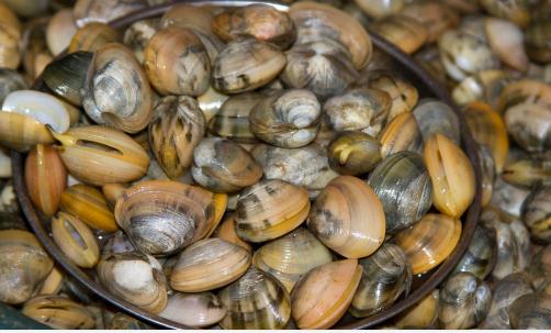 广东省水产品市场分析及产业链分析