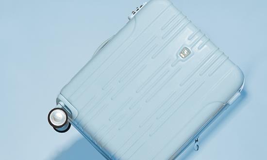 2024箱包行业市场发展机遇与趋势现状