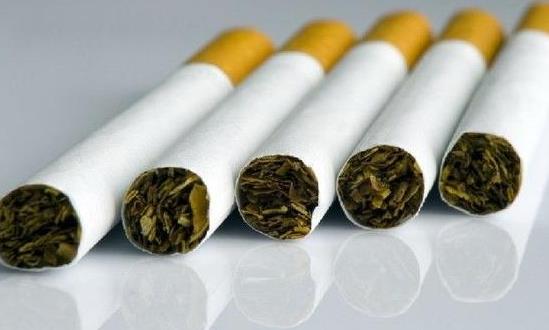 烟草产业发展前景研究2024