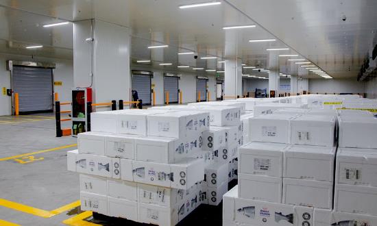 生鲜冷链物流行业市场调查与发展趋势研究2024