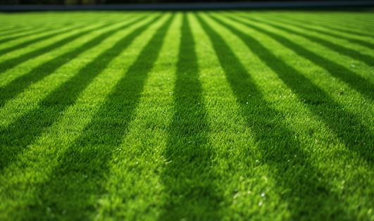 中国人造草坪行业应用场景及市场现状