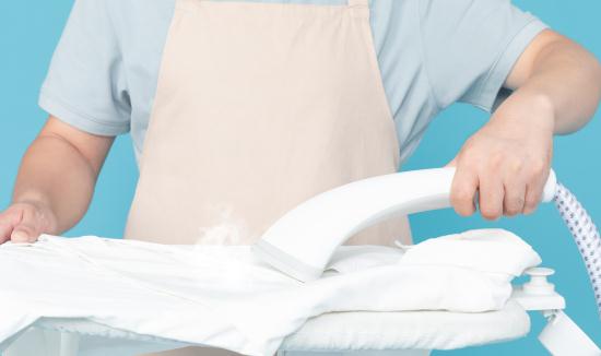 2024中国蒸汽挂烫机行业市场调研及投资机会分析