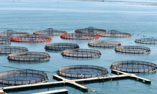 水产养殖产业前景研究：到2035年中国对水产品需求将达1亿吨以上