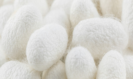 细蚕丝“织出”功能纤维大产业 2024蚕丝行业市场前景预测