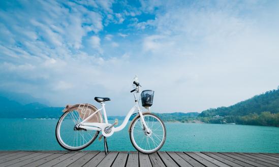 中国自行车行业市场分析及发展前景预测