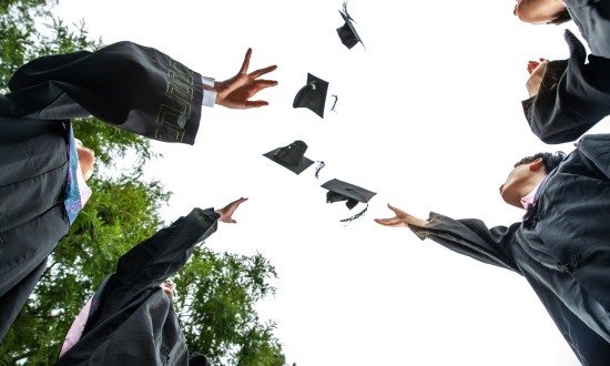 2024年成人高等教育行业的产业链上下游结构及重点企业情况