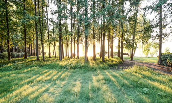 一季度全国生态环境质量持续改善 2024生态修复行业发展前景预测