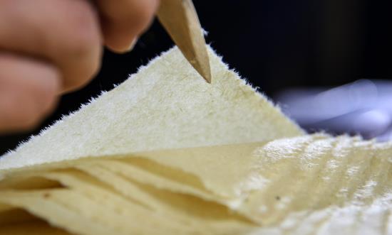 造纸行业现状分析及投预测：造纸业景气度回升