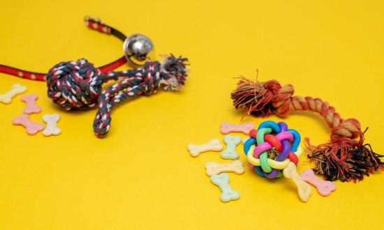 2024年中国宠物玩具行业的产业链上下游结构及重点企业情况